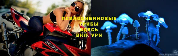 сатива Остров