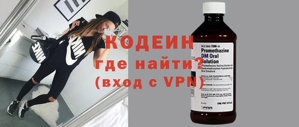гашик Няндома